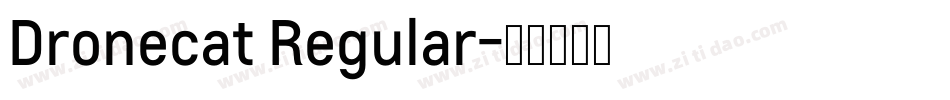 Dronecat Regular字体转换
